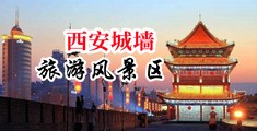 插bb黄片高潮中国陕西-西安城墙旅游风景区